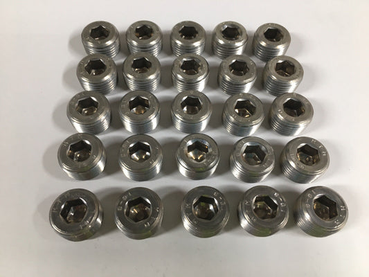 Socket Head  Stainless Steel Pipe Plugs 1/2" NPT 25 Pieces